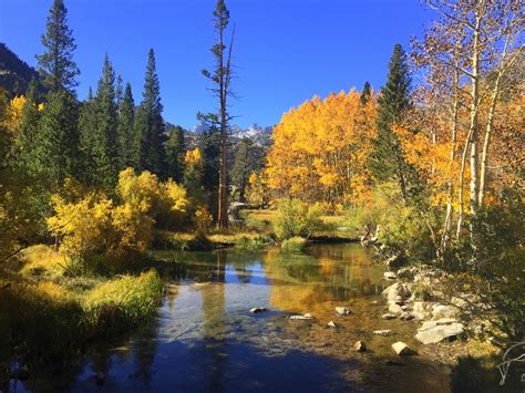 Finding Fall Colors In Bishop California No Back Home