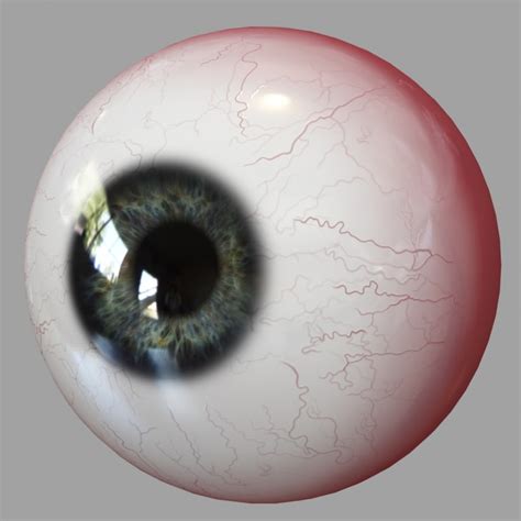 3d Model Eyes Human Realistic Eyeball