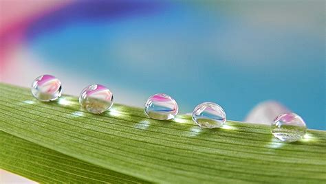 Wallpaper Colorful Water Grass Closeup Green Dew Color Leaf
