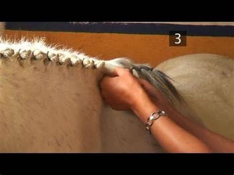 Horse braiding and banding supplies: How To Braid A Horse's Mane - YouTube