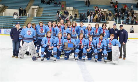 Albert Lea Boys Hockey Team Falls In Section Championship To New Prague