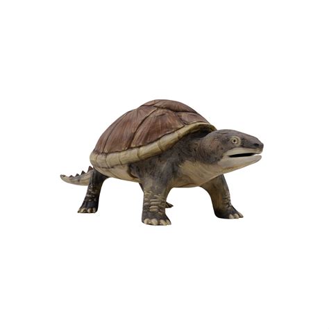 3d Snapping Turtle Isolated 18875923 Png
