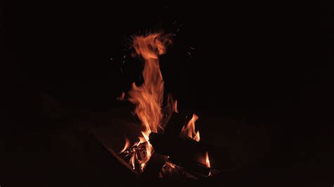 Download Wallpaper 2560x1440 Bonfire Fire Flame Sparks Dark