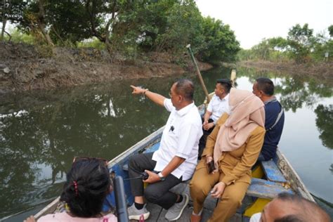 Cak Ji Hentikan Normalisasi Sungai Di Kawasan Mangrove Wonorejo