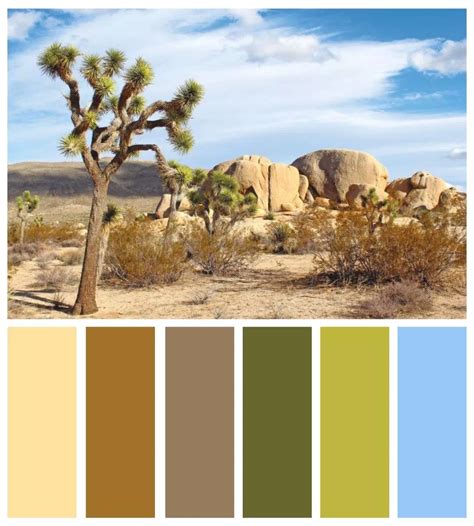 Desert Landscape Mojave Desert And Vegas Inspired Color Palettes