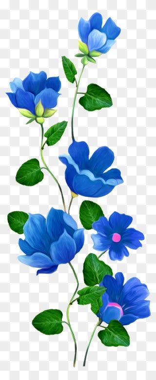 Download Mq Blue Roses Flowers Flower Rose Border Borders Blue Roses