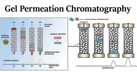 Cromatografía de permeación en gel Definición principio partes