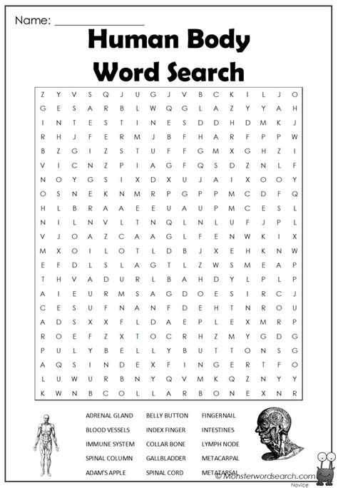 Human Body Word Search Monster Word Search