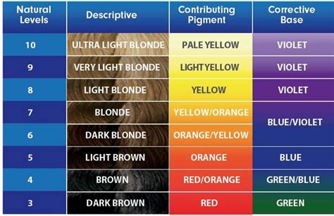 Hair Color Prediction Chart