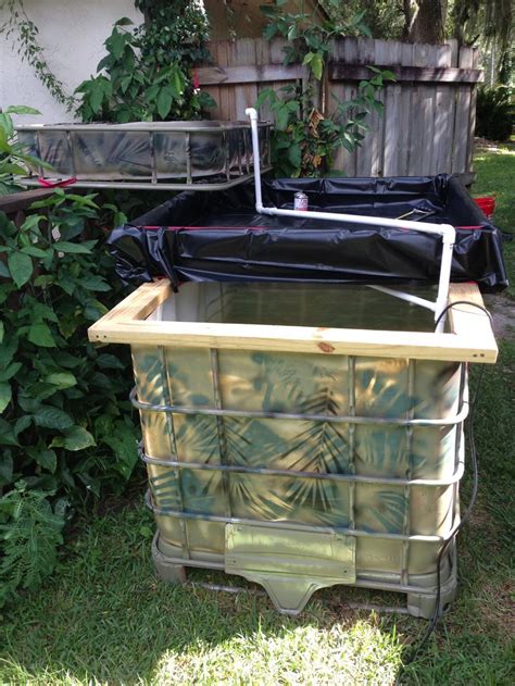What materials do you need for aquaponics? Our backyard Aquaponic Garden | Acuaponía, Cultivos ...
