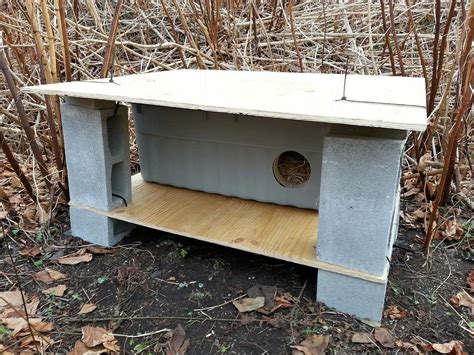 Feral Cat Shelter Near Me