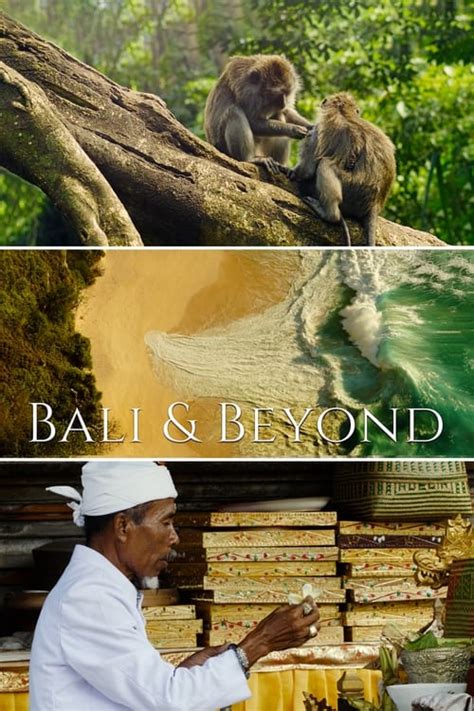Bali And Beyond 2019 — The Movie Database Tmdb