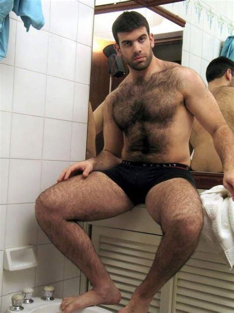 Gay Hairy Porn Star Photos And Other Amusements