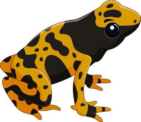 Poison Dart Frogs — Stock Vector © Macropixel 6116344