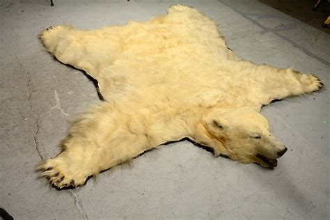 Lot Detail Full Size Polar Bear Skin Rug