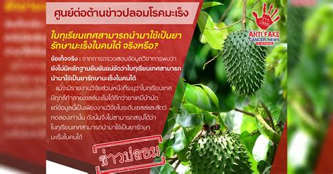 7,043 likes · 1 talking about this · 13 were here. สถาบันมะเร็ง เตือน! ใบทุเรียนเทศ มีฤทธิ์ฆ่าเซลล์มะเร็ง ไม่ ...