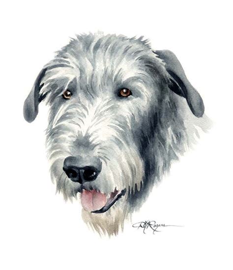 Irish Wolfhound Traditional Watercolor Art Print By Artist Dj Rogers