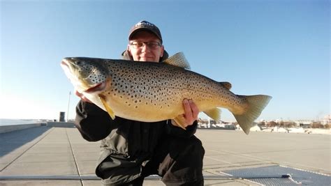 Smith Stocking Plan Keeps Kings Cuts Brown Trout
