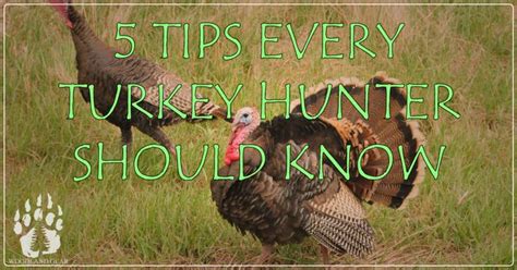5 Turkey Hunting Tips Every Beginner Should Know Woodland Gear In