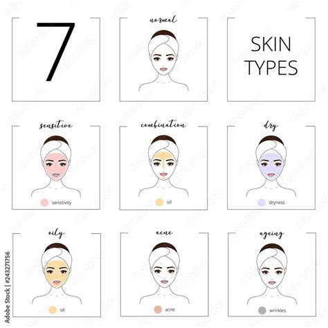 Skin Types Normal Oily Combination Dry Sensitive Ageing And Acne