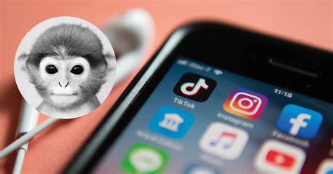 The Monkey Pfp On Tiktok Is Something You Want To Avoid At
