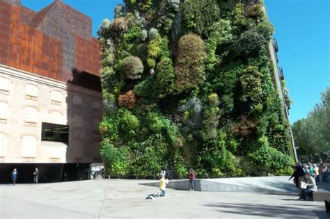 Green Walls Are Great But They Need To Work Efficiently