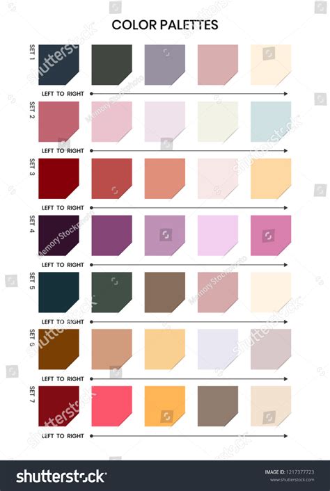 Color Palettes Vector Stock Vector Royalty Free 1217377723