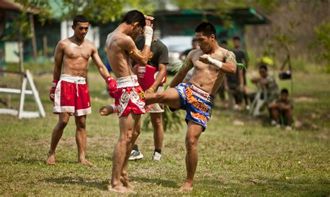 История возникновения тайского бокса муай тай Что это за вид спорта