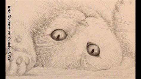 Bocetos De Animales Cómo Dibujar Un Gato Arte Divierte Youtube