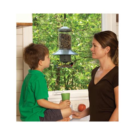 Automatic Bird Feeder Programmable Timer Seed Dispenser Less Refilling