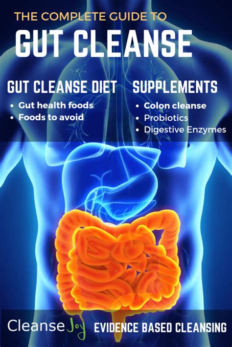 Gut Cleanse The Complete Digestive Gut Health Plan