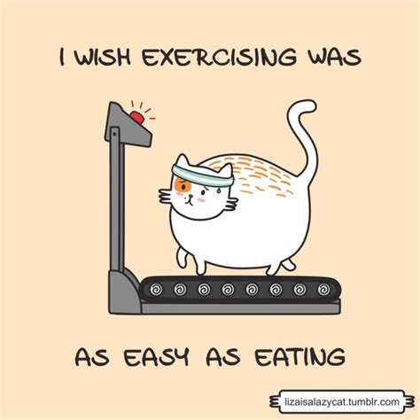 Pin By Claudette Smith On Fitness And Health Cute Cat Memes Funny