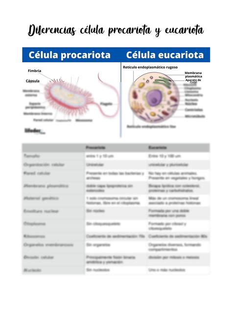 Cuadro Comparativo De Los Microorganismos Citoplasma Biologia Celular Images