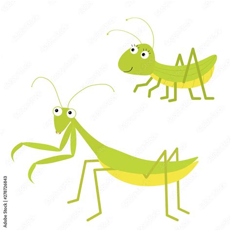 Mantis Grasshopper Icon Set Cute Cartoon Kawaii Funny Character