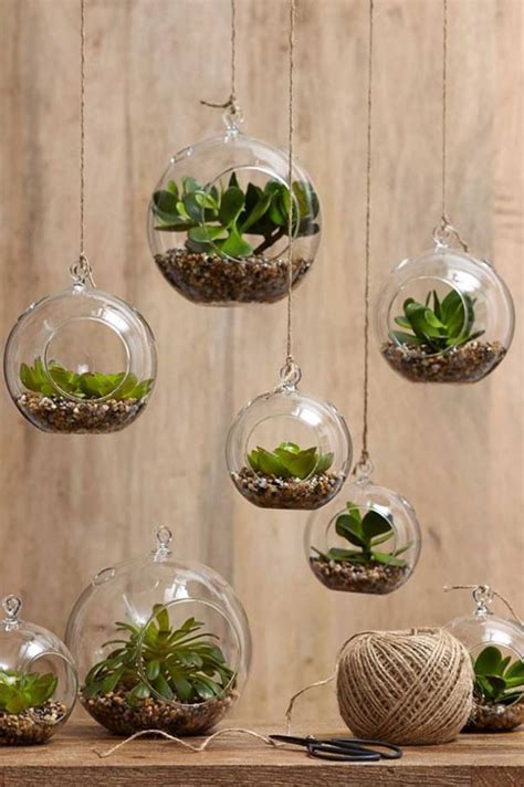 Las plantas son muy importantes en la decoración de interiores. Colgantes con suculentas | Plantas colgantes, Decoracion plantas, Jardines colgantes