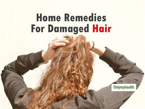 Damaged Hair Home Remedies 5 Home Remedies To Get Rid Of Dry Damaged