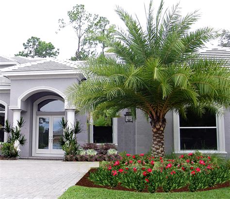 Tampa Palms Contemporary Landscape Tropical Landscape Tampa By