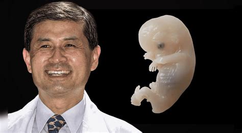 Hwang Woo Suk ¿qué Pasó Con El Científico Surcoreano Que Afirmó Haber