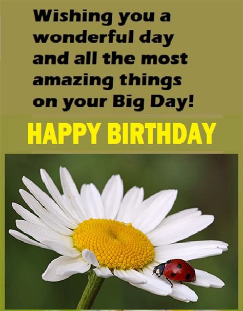 Beautiful Picture Of Daisies Birthday Greeting Card ~ Happy Birthday