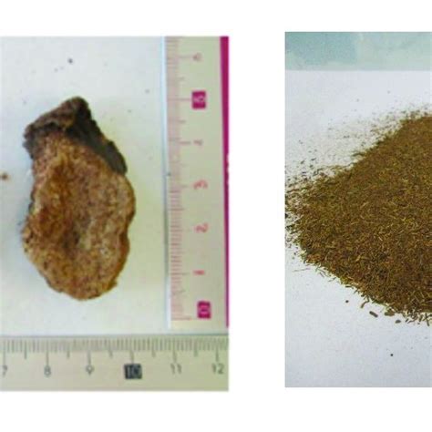 Samples Of Raw Banana Rachis A And Rachis Powder After Grinding And
