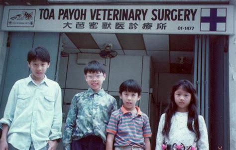 1008asingapore Toa Payoh Veterinary Surgery Animal Doctor Dog Cat