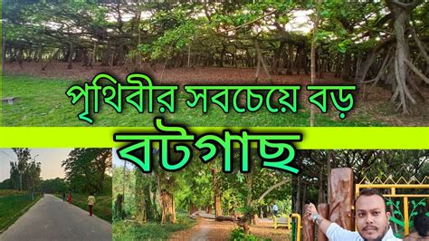 the great banyan tree shibpur botanical garden b garden howrah youtube