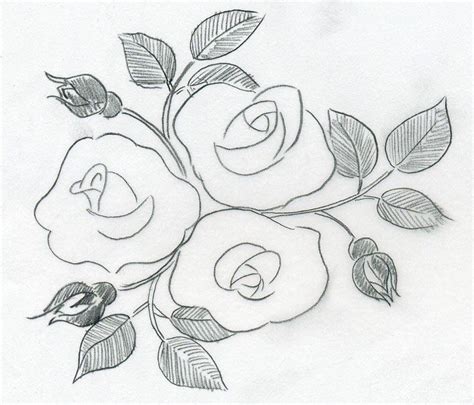 21 Roses Sketches Pics Special Image