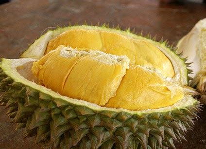 Makanan protein buat ibu hamil. mommy corner: MAKANAN "TERLARANG" BUAT IBU HAMIL?
