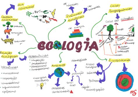 Ecologia Y Medio Ambiente Mapa Mental De La Historia De La Ecologia