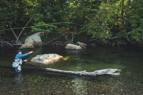 Man Fly Fishing On Saco River In North Conway New Hampshire Photograph