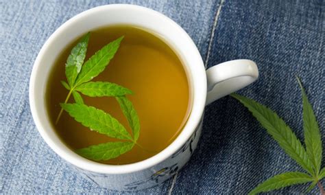 12 Best Cannabis Infused Drinks And How To Make Them High Times