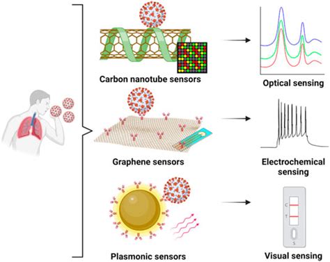 Frontiers Graphene Carbon Nanotube And Plasmonic Nanosensors For