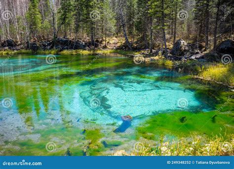 Geyser Lake With Blue Clay In The Altai Republic Blue Lake A Tourist