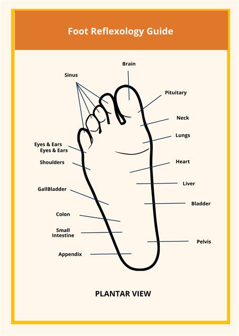 2 Page Reflexology Chart Template Edit Online And Download Example